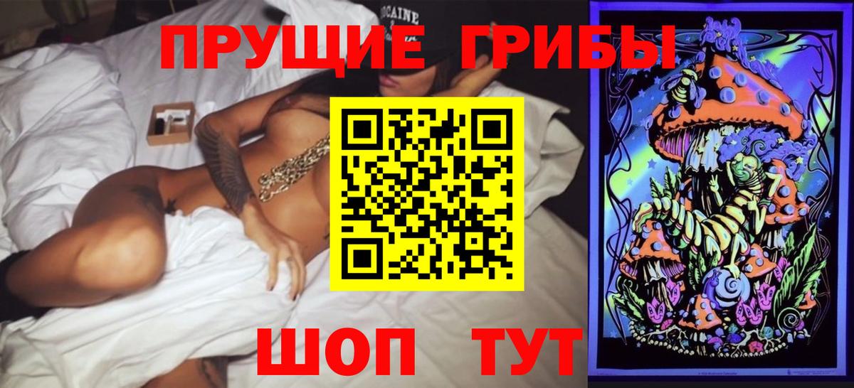Нефтекумск  Галлюциногенные грибы Psilocybe  Вход с VPN 